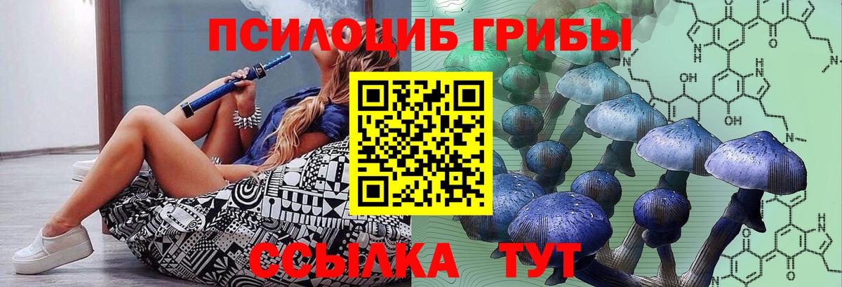 Галлюциногенные грибы Psilocybe Архангельск