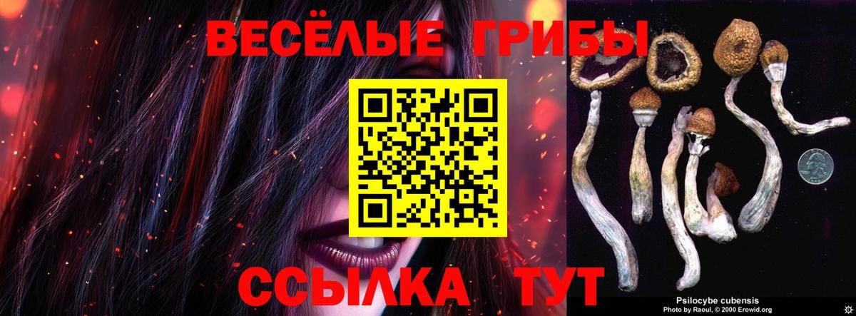 Псилоцибиновые грибы GOLDEN TEACHER  Псилоцибиновые грибы мицелий  Архангельск  Вход с VPN 