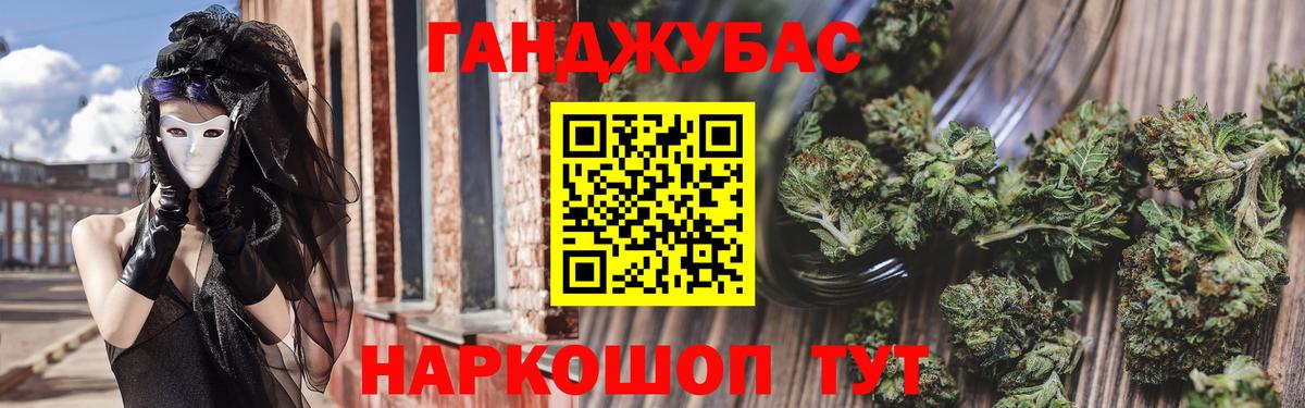 Каннабис сатива Архангельск